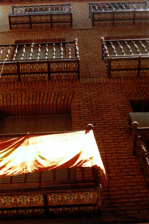 60563_941335419600_7532234_n